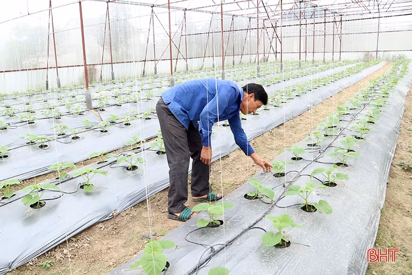 Lắng nghe ý kiến cử tri để ban hành cơ chế, chính sách sát thực tiễn