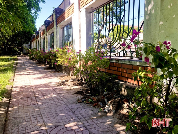 Chung tay trồng cây, chăm sóc Nghĩa trang liệt sỹ Núi Nài