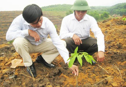 Cán bộ nông trường cao su Hương Sơn 1 kiểm tra cao su mới trồng