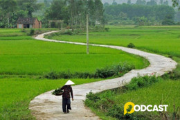 Podcast tản văn: Con đường mùa đông