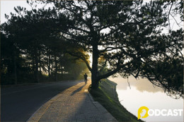 Podcast tản văn: Dịu dàng Tháng Mười một