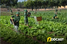 Podcast truyện ngắn: Bố tớ là bộ đội