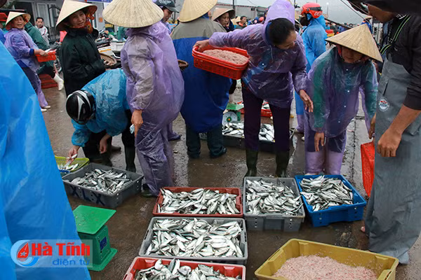 bi thu tinh uy kiem tra danh bat tieu thu hai san tai cang ca thach kim