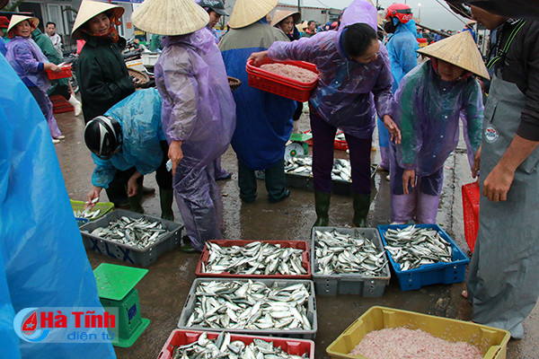 bi thu tinh uy kiem tra danh bat tieu thu hai san tai cang ca thach kim