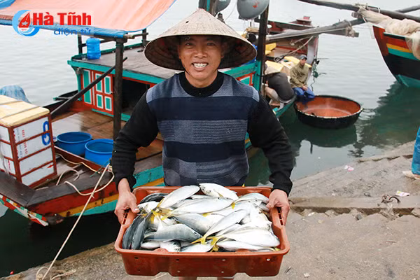 bi thu tinh uy kiem tra danh bat tieu thu hai san tai cang ca thach kim