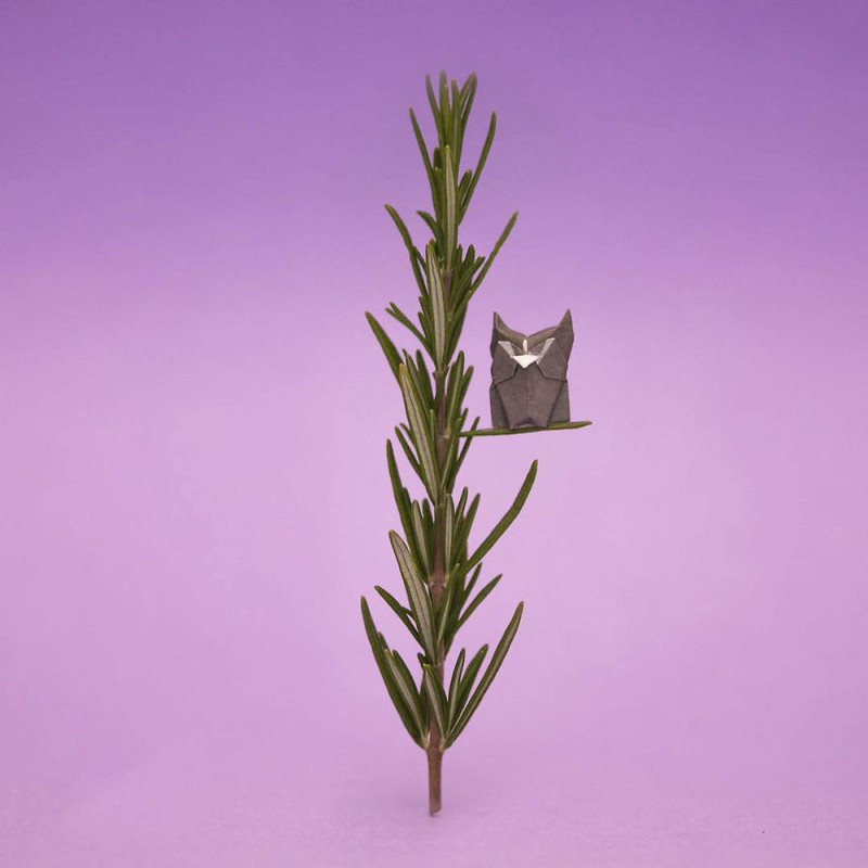 chang trai dam me gap giay origami moi ngay