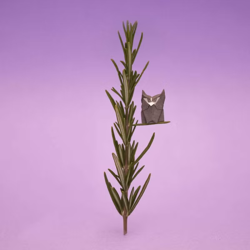 chang trai dam me gap giay origami moi ngay