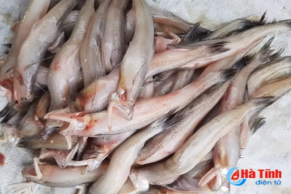 hai san sau tet gia tang manh hang khan hiem