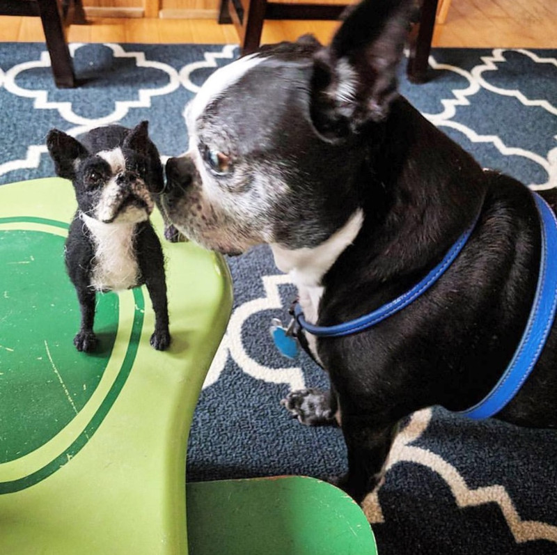 nhung chu cho bang len tho giong y nhu that