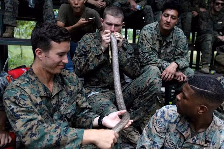 quan nhan uong mau ran ho mang de tap sinh ton trong rung ram