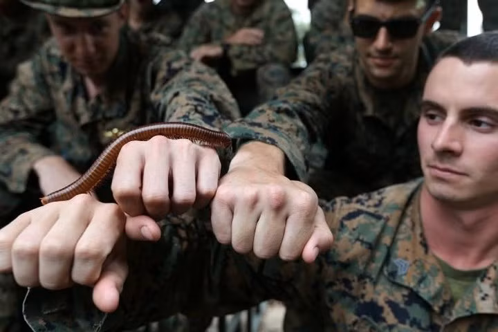 quan nhan uong mau ran ho mang de tap sinh ton trong rung ram