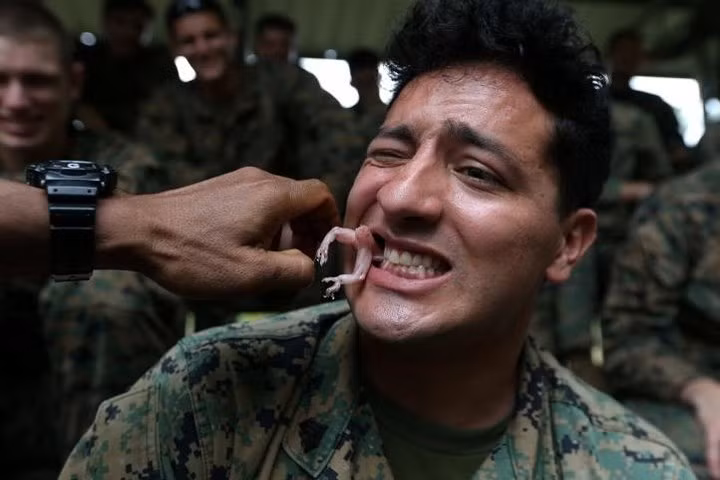 quan nhan uong mau ran ho mang de tap sinh ton trong rung ram