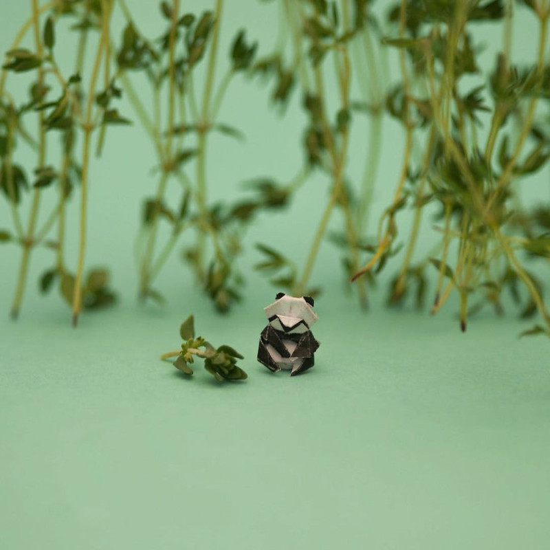 chang trai dam me gap giay origami moi ngay