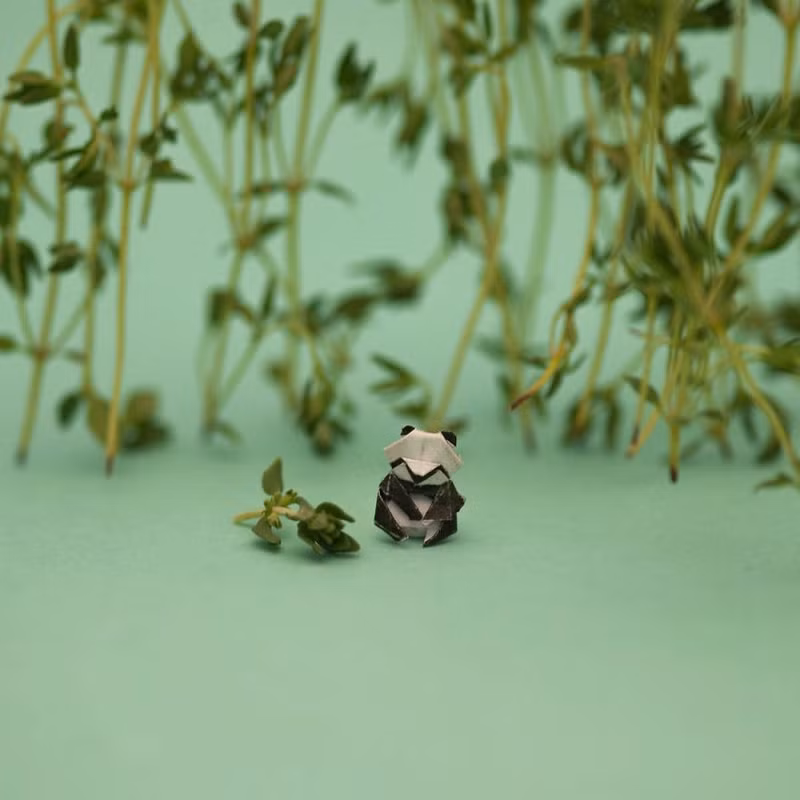 chang trai dam me gap giay origami moi ngay