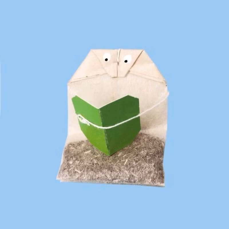 loat anh hai huoc tu nhung do vat hang ngay