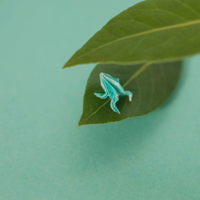 chang trai dam me gap giay origami moi ngay