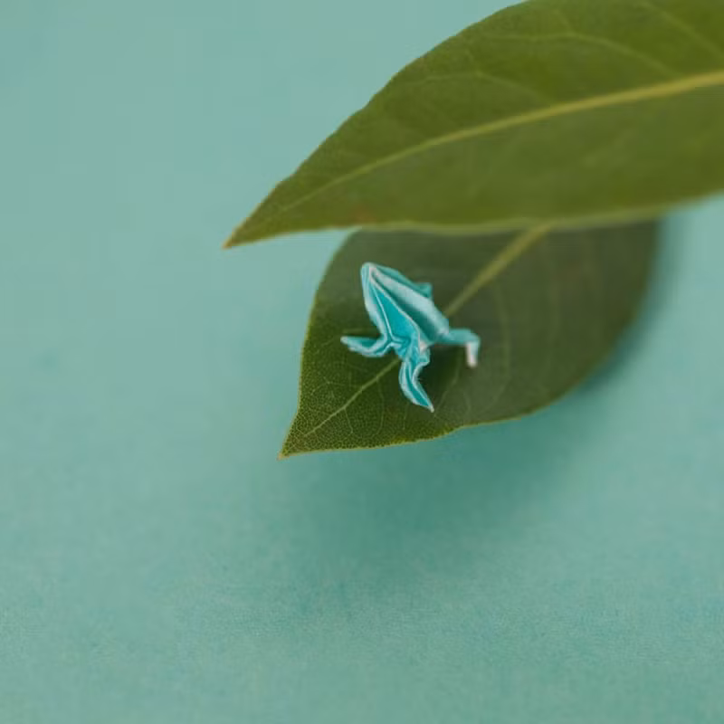 chang trai dam me gap giay origami moi ngay