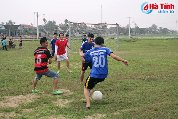 soi noi cac hoat dong the duc the thao dau nam moi