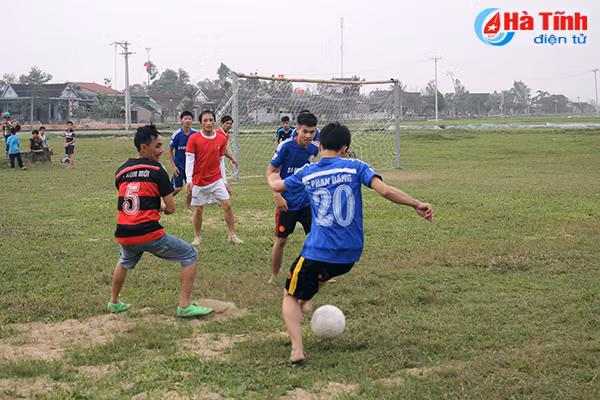 soi noi cac hoat dong the duc the thao dau nam moi