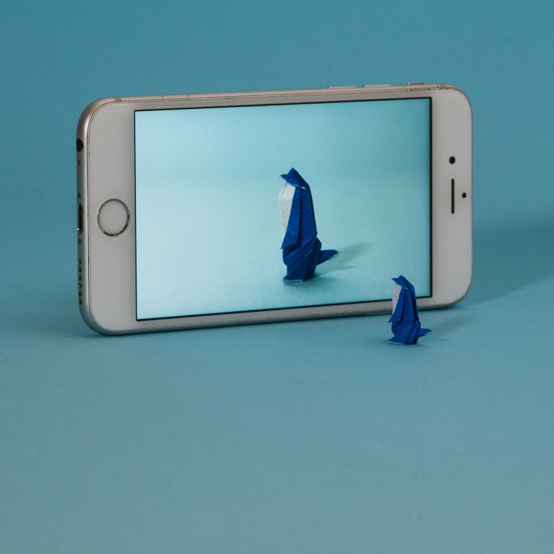 chang trai dam me gap giay origami moi ngay