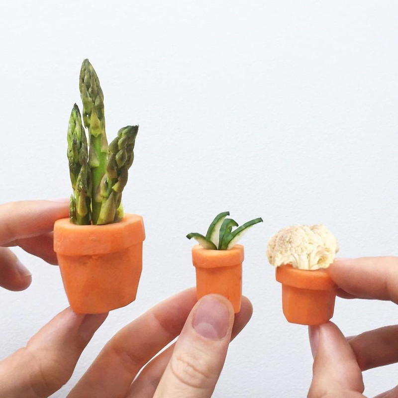 loat anh hai huoc tu nhung do vat hang ngay