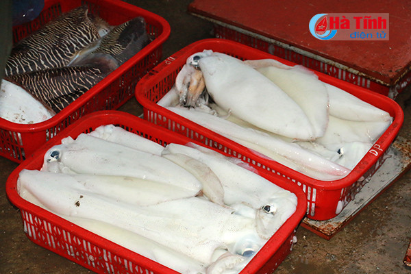 bi thu tinh uy kiem tra danh bat tieu thu hai san tai cang ca thach kim