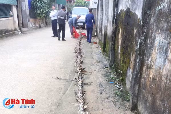 ha cay neu anh em ruot bi dien giat phai nhap vien cap cuu