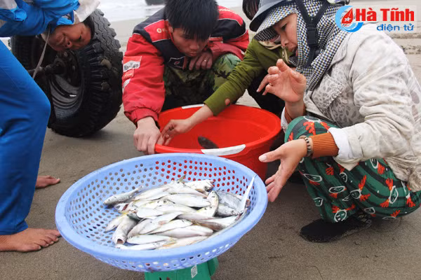 ra bien dau nam ngu dan ha tinh da thang lon