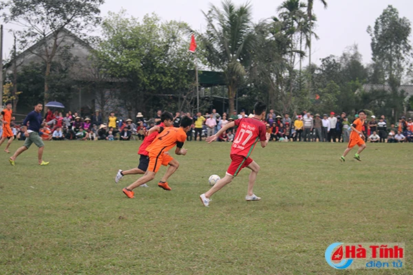 soi noi cac hoat dong the duc the thao dau nam moi