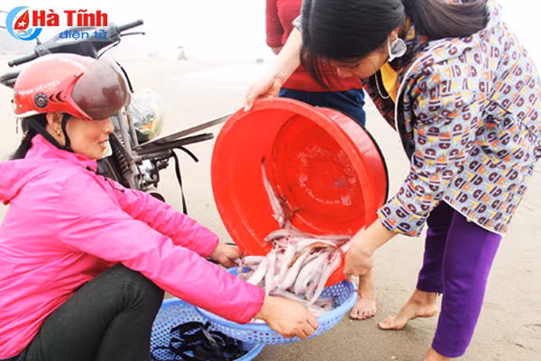 ra bien dau nam ngu dan ha tinh da thang lon