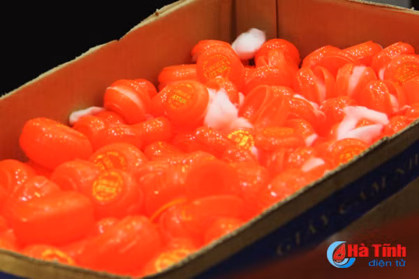 nguoi dan ha tinh chen chuc mua vang ngay via than tai