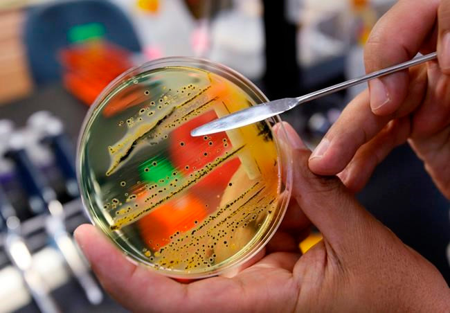 who cong bo 10 mam benh nguy hiem nhat 2018