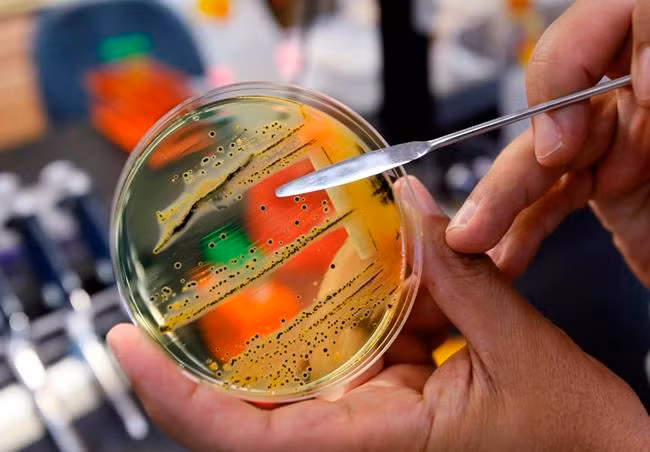 who cong bo 10 mam benh nguy hiem nhat 2018