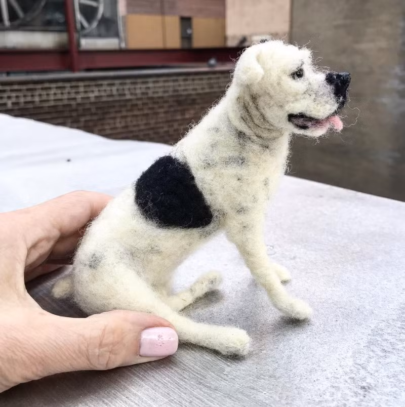 nhung chu cho bang len tho giong y nhu that