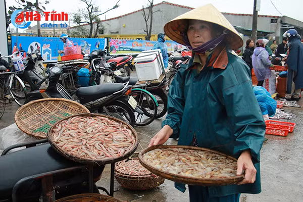 bi thu tinh uy kiem tra danh bat tieu thu hai san tai cang ca thach kim