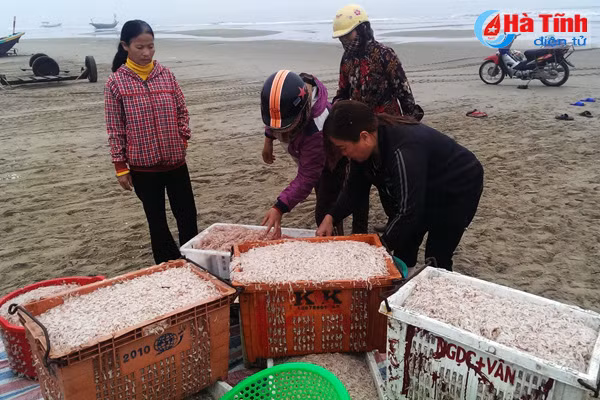ra bien dau nam ngu dan ha tinh da thang lon