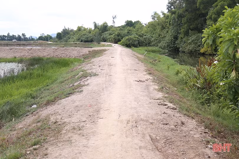 Đê bao xuống cấp, người nuôi trồng thủy sản Thạch Hà bất an mùa mưa lũ