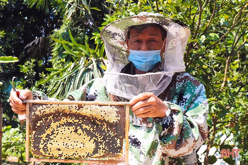Sản phẩm nông nghiệp Vũ Quang mở rộng thị trường tiêu thụ