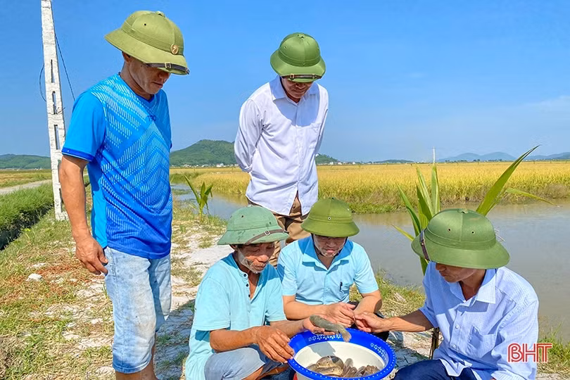 Anh nông dân bám đất, bám ruộng, tìm hướng phát triển kinh tế mới