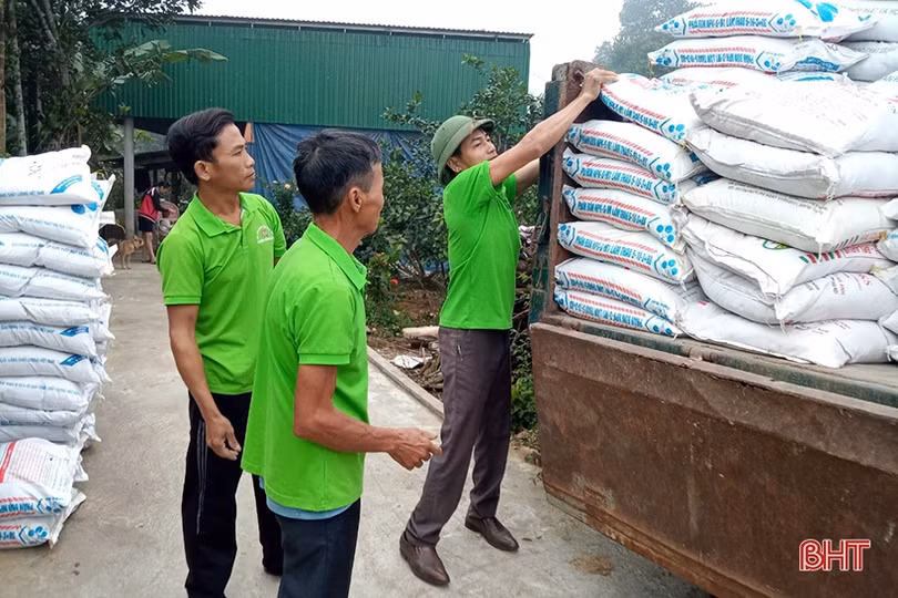 Nông dân Hương Khê tất bật xuống giống vụ đông