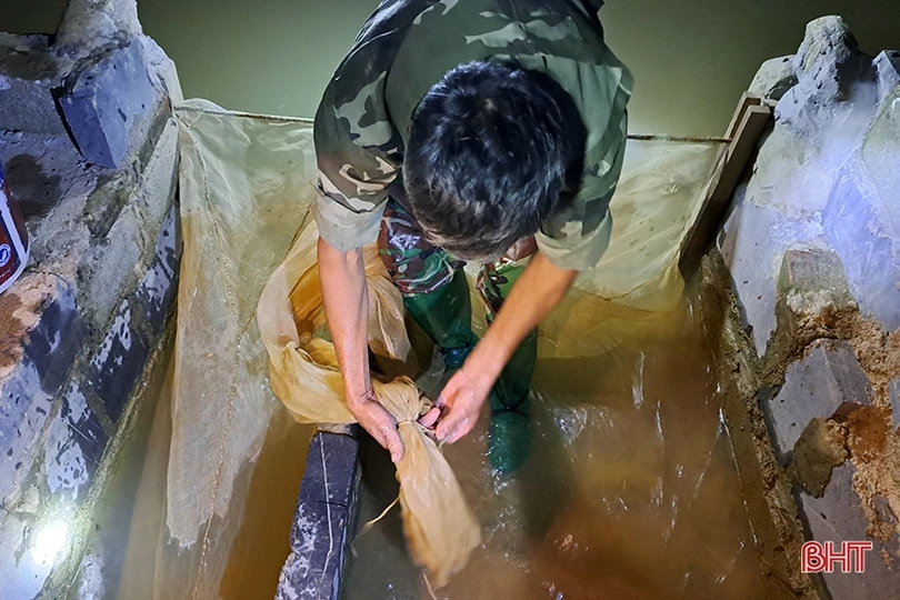 “Săn rươi ban đêm ở Nghi Xuân