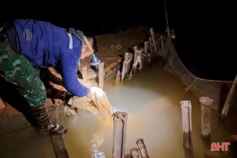 “Săn rươi ban đêm ở Nghi Xuân