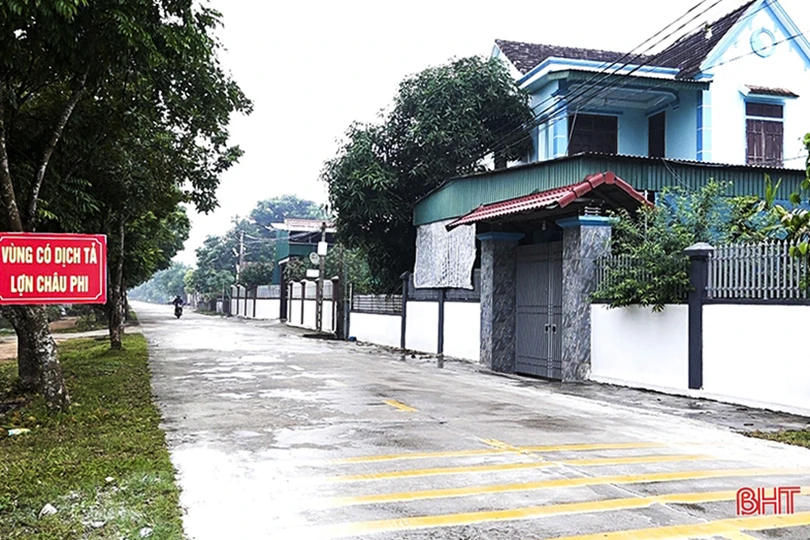 Hà Tĩnh bổ cứu công tác phòng chống dịch tả lợn châu Phi