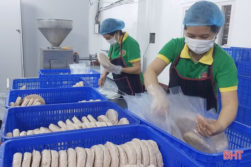 Sẵn sàng cho lễ hội cam và sản phẩm nông nghiệp Hà Tĩnh 