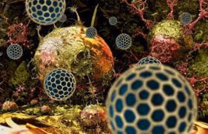 Nga phát triển thành công ngăn chặn sự phát triển của khối u ung thư