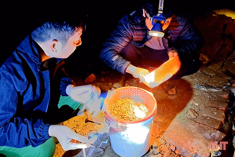 “Săn rươi ban đêm ở Nghi Xuân