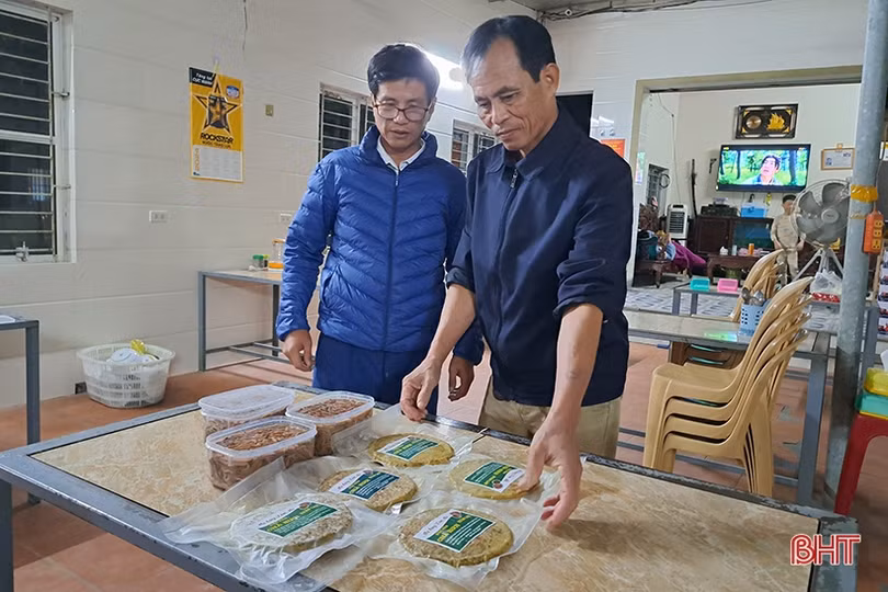 “Săn rươi ban đêm ở Nghi Xuân