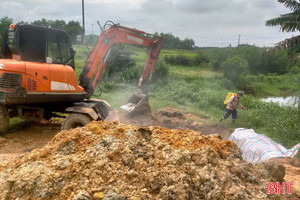 Tiêu hủy 74 con lợn do mắc dịch tả lợn châu Phi