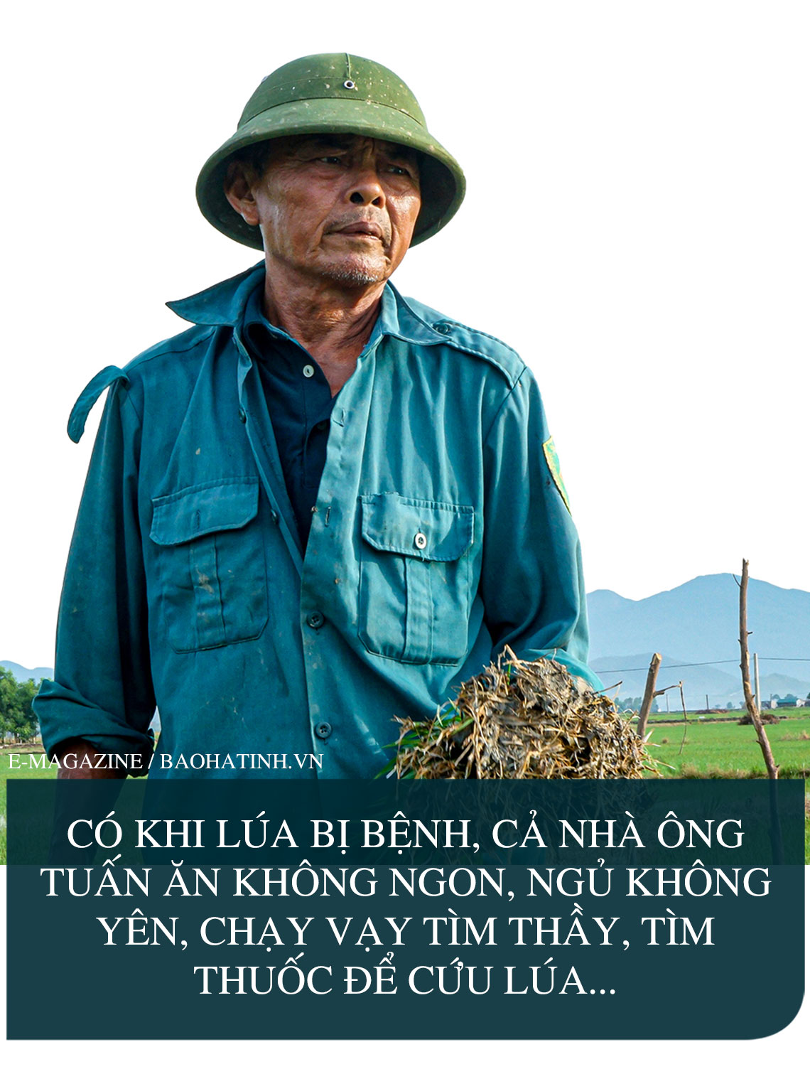 Chuyện “ngược đời” của cha con “hai lúa” ở Hà Tĩnh