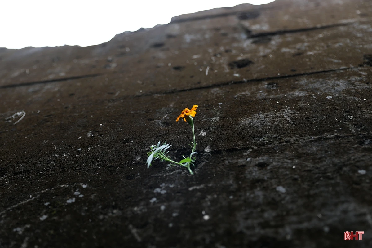 Thăm chiến tích “Hầm Nghiêng” trên đỉnh Hoành Sơn